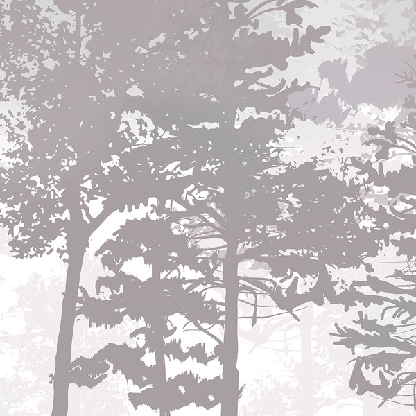 Изображение товара Фотообои листовые Citydecor Таинственный лес 15 (500x260см)