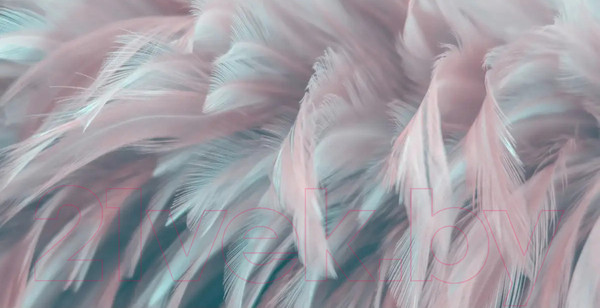 Изображение товара Фотообои листовые Citydecor Абстракция 27 (500x260см)