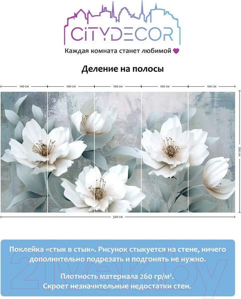 Изображение товара Фотообои листовые Citydecor Абстракция 41 (500x260см)