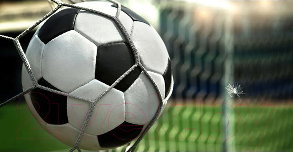 Изображение товара Фотообои листовые Citydecor Детская 379 (500x260см)