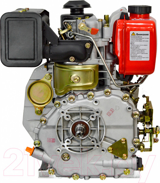 Изображение товара Двигатель дизельный Brait BR300D