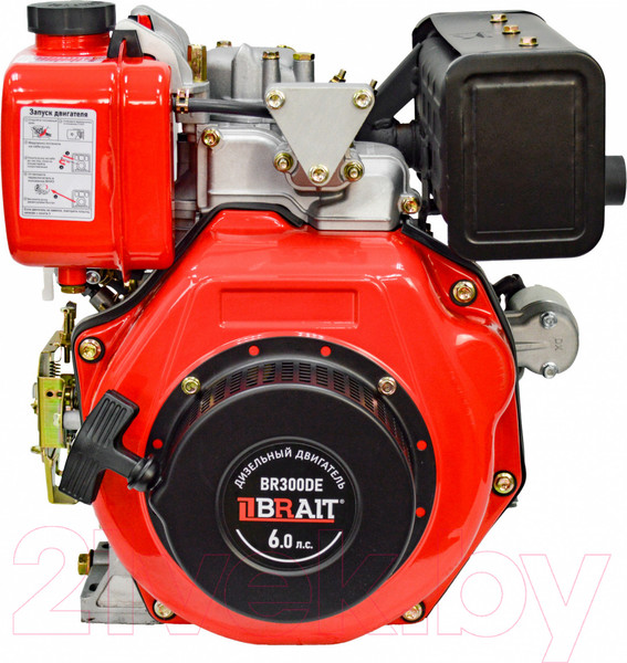 Изображение товара Двигатель дизельный Brait BR300DE