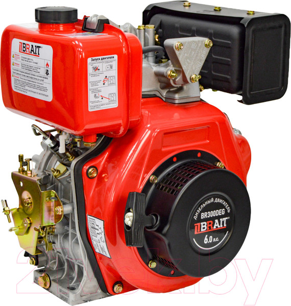 Изображение товара Двигатель дизельный Brait BR300DEG