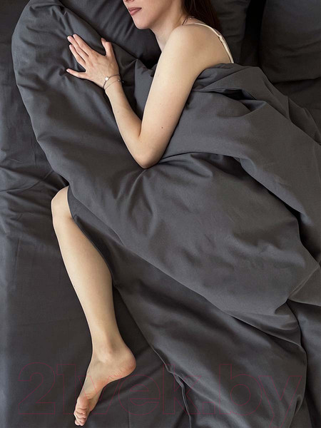 Изображение товара Пододеяльник Mio Tesoro 215х153 Лен153По-9 