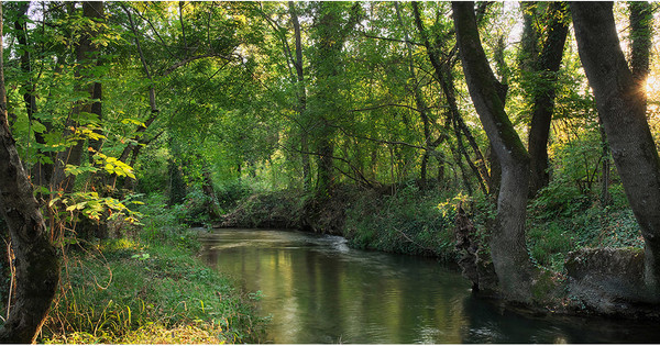 Изображение товара Фотообои листовые Citydecor Природа 93 (500x260см)