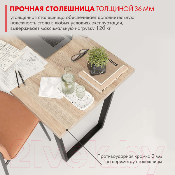 Изображение товара Письменный стол Domus СП013 / 12.013.403.07 (вяз светлый/металл черный)