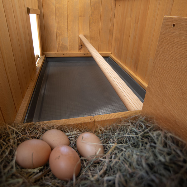 Изображение товара Курятник Ferplast Kocca 100 / 57094480