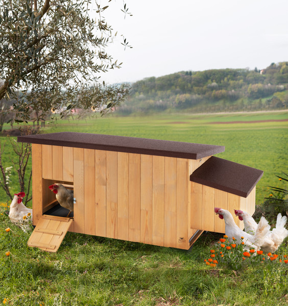 Изображение товара Курятник Ferplast Kocca 120 / 57094490