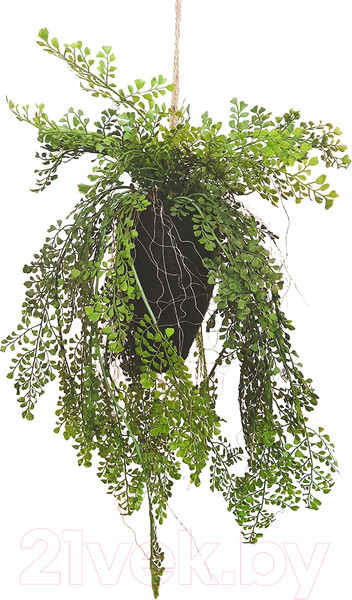 Изображение товара Искусственное растение MONAMI Кокедама TM-80