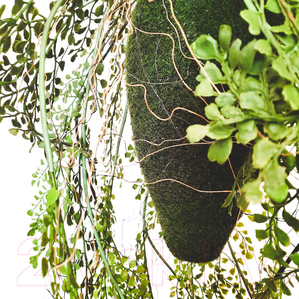 Изображение товара Искусственное растение MONAMI Кокедама TM-80