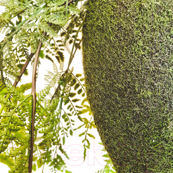 Изображение товара Искусственное растение MONAMI Кокедама TM-79