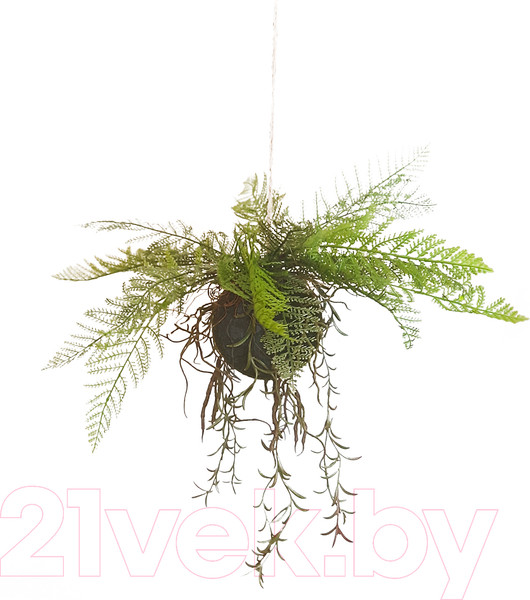 Изображение товара Искусственное растение MONAMI Кокедама TM-77