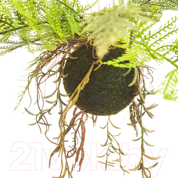 Изображение товара Искусственное растение MONAMI Кокедама TM-77