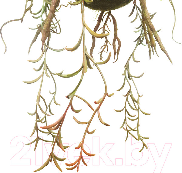 Изображение товара Искусственное растение MONAMI Кокедама TM-77