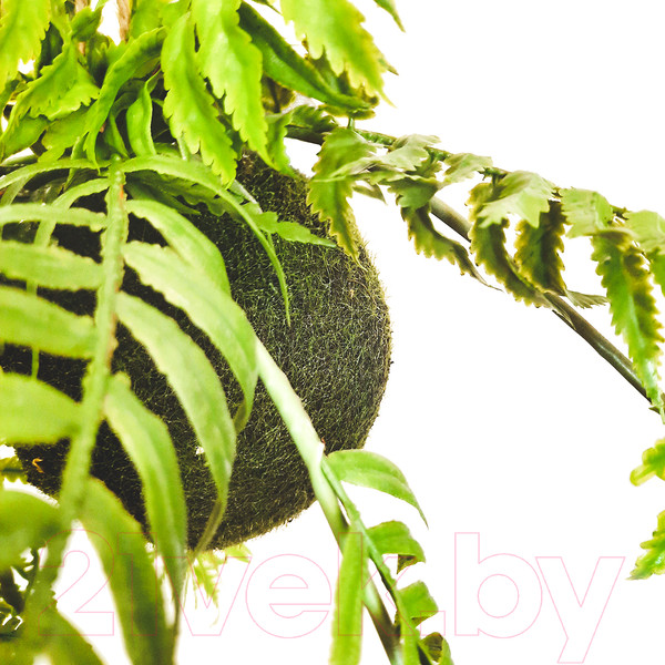 Изображение товара Искусственное растение MONAMI Кокедама TM-76