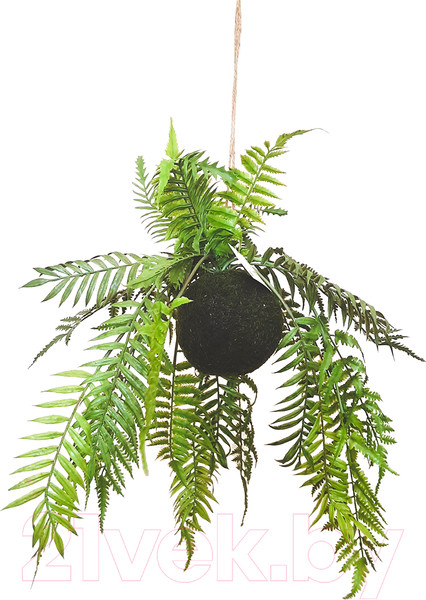 Изображение товара Искусственное растение MONAMI Кокедама TM-76