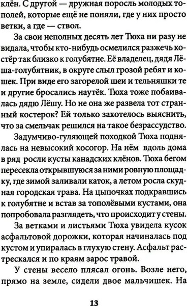 Изображение товара Книга Никея Миры за стеной. Стекло старьевщика твердая обложка (Смирнова Оксана)