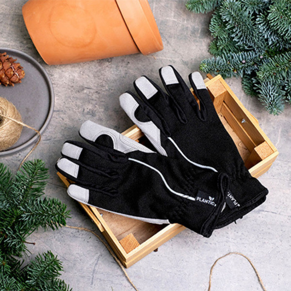 Изображение товара Перчатки защитные Plantic Light 8 / 26464-01