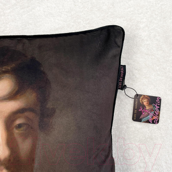 Изображение товара Подушка декоративная Sofi de Marko Funny Art №2 45x45 / Под-ФА2-45x45