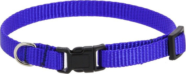 Изображение товара Ошейник КАСКАД Капрон с пряжкой-защелкой / 06110200-06 (синий)