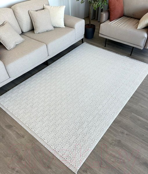 Изображение товара Ковер Radjab Carpet Бутик BT 318 Прямоугольник 11547RK (2x2.9, Cream)
