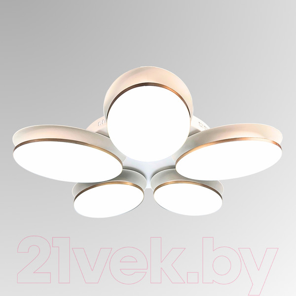 Изображение товара Люстра Aitin-Pro MD8025/5B