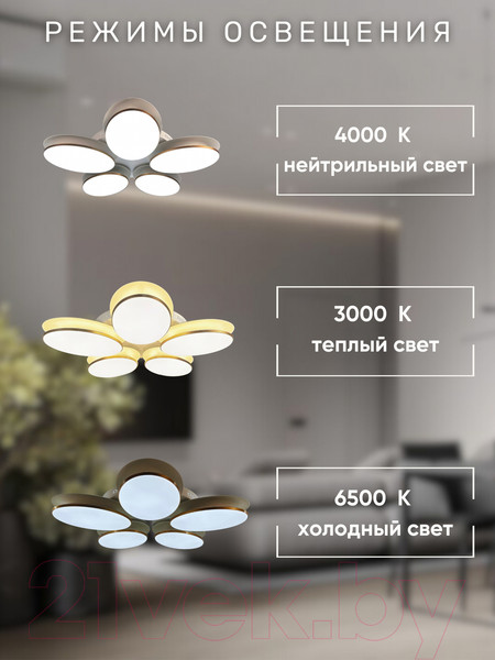 Изображение товара Люстра Aitin-Pro MD8025/5B