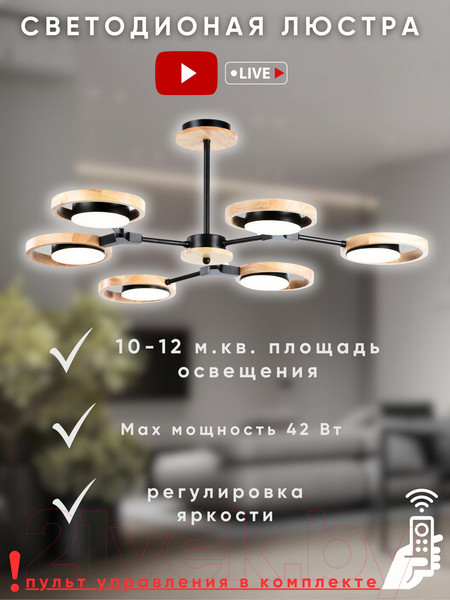 Изображение товара Люстра Aitin-Pro N4541/6 (черный)