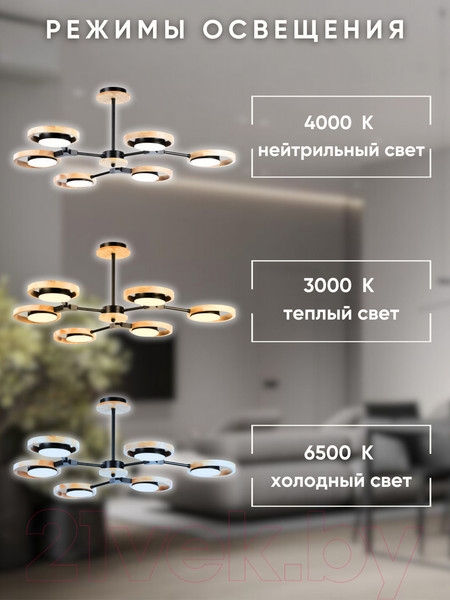 Изображение товара Люстра Aitin-Pro N4541/6 (черный)