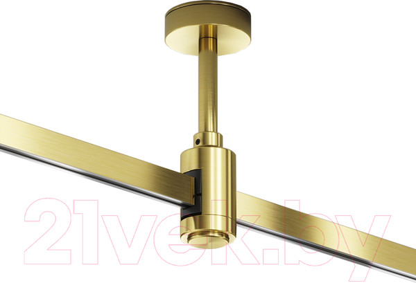 Изображение товара Потолочная база для трекового светильника Maytoni TRA156C-B1-BS