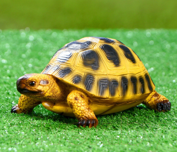 Изображение товара Фигурка для сада Хорошие сувениры Черепашка / 4793736