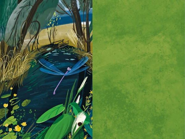 Изображение товара Комикс МИФ Потерял слепой дуду твердая обложка (Григоренко Александр)