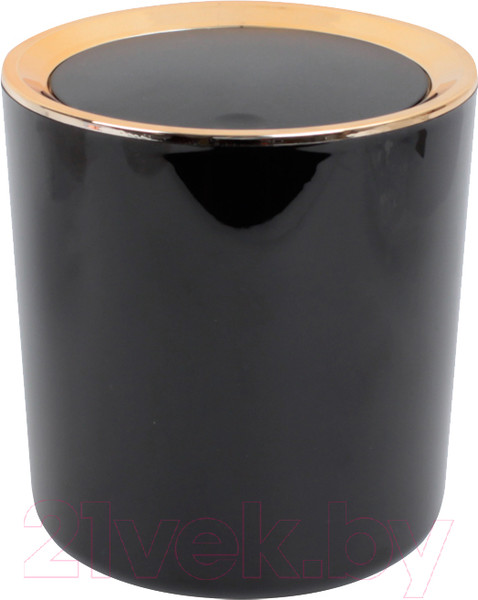 Изображение товара Контейнер для мусора Darvish DV-H-1843-2 (черный)