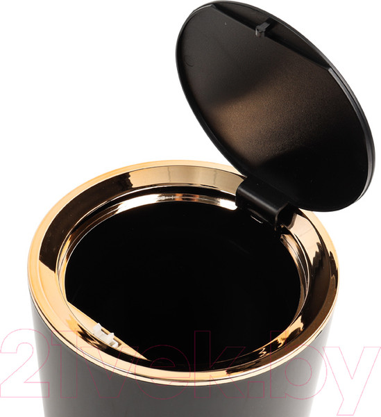 Изображение товара Контейнер для мусора Darvish DV-H-1843-2 (черный)