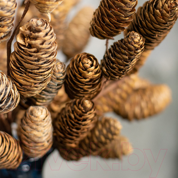 Изображение товара Искусственные ветки GrandSiti 13579-3 / L26/43см (3шт)