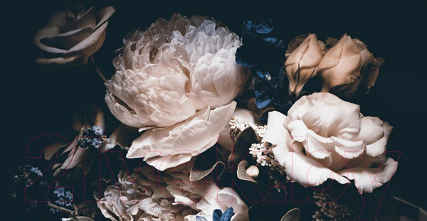 Изображение товара Фотообои листовые Citydecor Цветы и Растения 3 (500x260см)