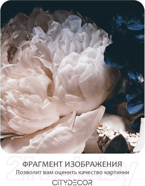 Изображение товара Фотообои листовые Citydecor Цветы и Растения 3 (500x260см)