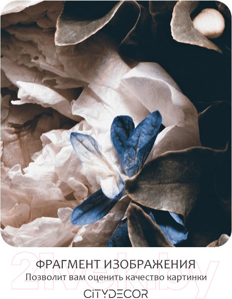 Изображение товара Фотообои листовые Citydecor Цветы и Растения 3 (500x260см)