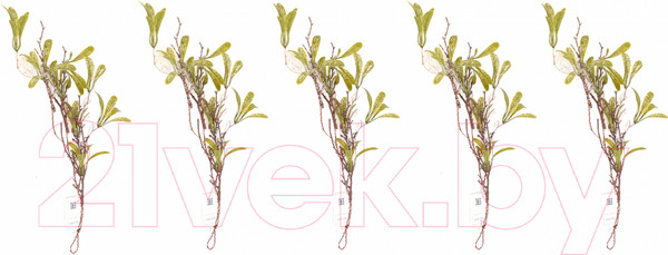 Изображение товара Искусственные ветки GrandSiti 94490-5 / L43CM (5шт)