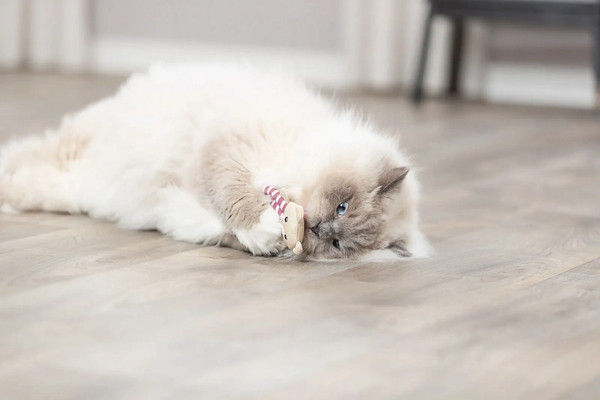 Изображение товара Игрушка для кошек Trixie Медвежонок / 45665