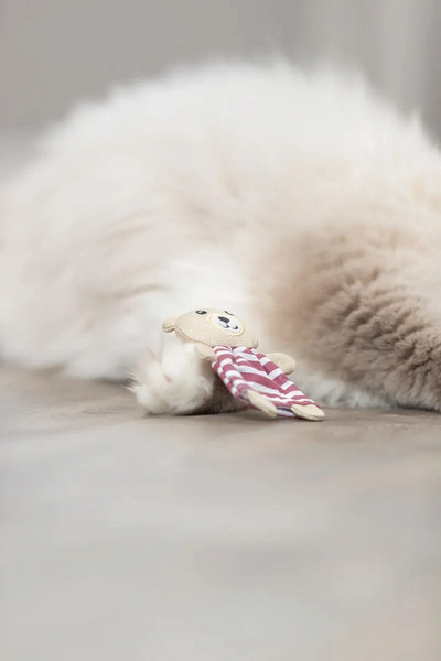 Изображение товара Игрушка для кошек Trixie Медвежонок / 45665