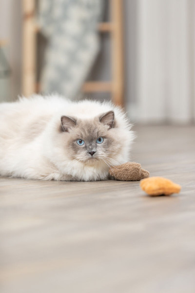 Изображение товара Игрушка для кошек Trixie Мишка / 45664