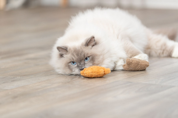 Изображение товара Игрушка для кошек Trixie Мишка / 45664