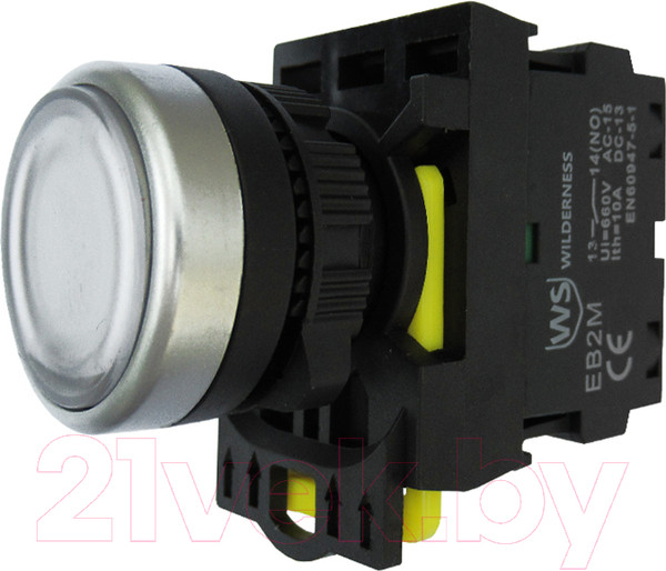 Изображение товара Кнопка для пульта Wilderness EB2M-A-10D/W 1НО / EB20011 (белый)