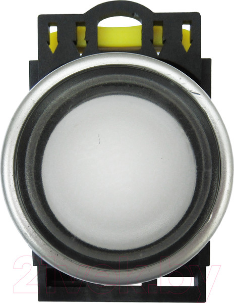 Изображение товара Кнопка для пульта Wilderness EB2M-A-10D/W 1НО / EB20011 (белый)