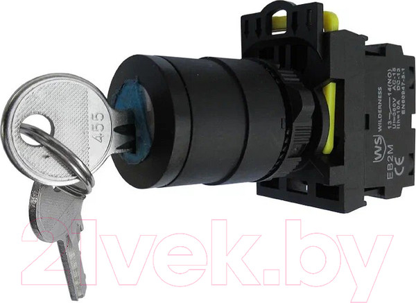 Изображение товара Переключатель Wilderness EB2M-A-20CYS/f.fu / EB20019