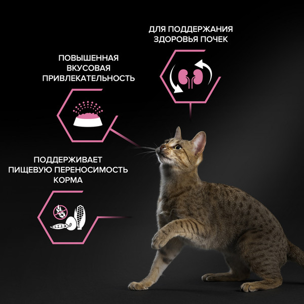Изображение товара Сухой корм для кошек Pro Plan Delicate с индейкой (3кг)