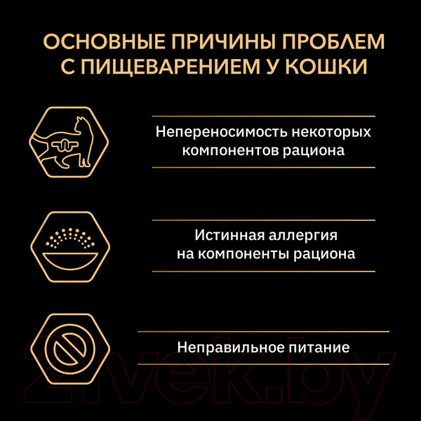 Изображение товара Сухой корм для кошек Pro Plan Delicate с индейкой (3кг)