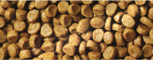 Изображение товара Сухой корм для кошек Pro Plan Junior с курицей (1.5кг)