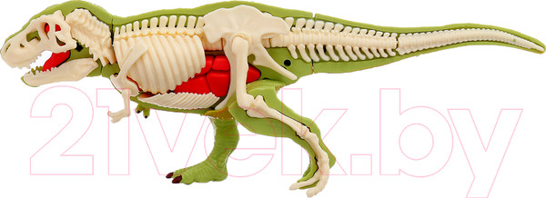 Изображение товара Научная игра Эврики Диномир. Тираннозавр. Строение тела динозавра 301 / 10179823